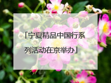宁夏精品中国行系列活动在京举办