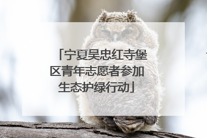 宁夏吴忠红寺堡区青年志愿者参加生态护绿行动