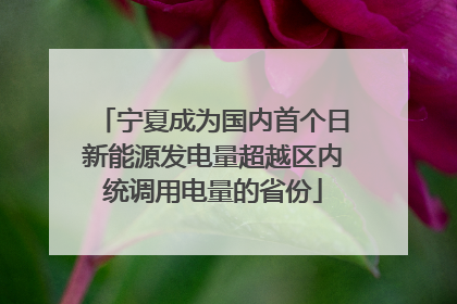 宁夏成为国内首个日新能源发电量超越区内统调用电量的省份