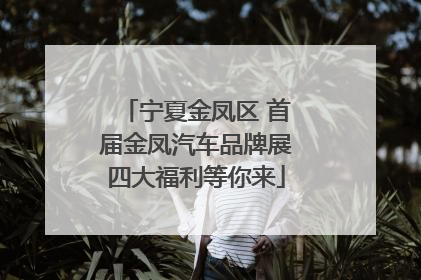 宁夏金凤区 首届金凤汽车品牌展四大福利等你来