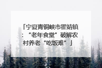 宁夏青铜峡市瞿靖镇：“老年食堂”破解农村养老“吃饭难”
