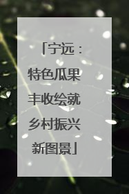 宁远：特色瓜果丰收绘就乡村振兴新图景