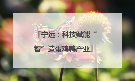 宁远：科技赋能“智”造蛋鸡鸭产业