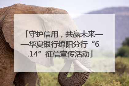 守护信用，共赢未来——华夏银行绵阳分行“6.14”征信宣传活动