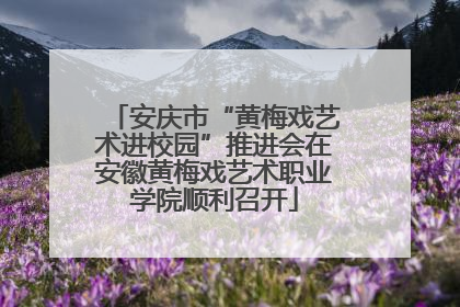 安庆市“黄梅戏艺术进校园”推进会在安徽黄梅戏艺术职业学院顺利召开