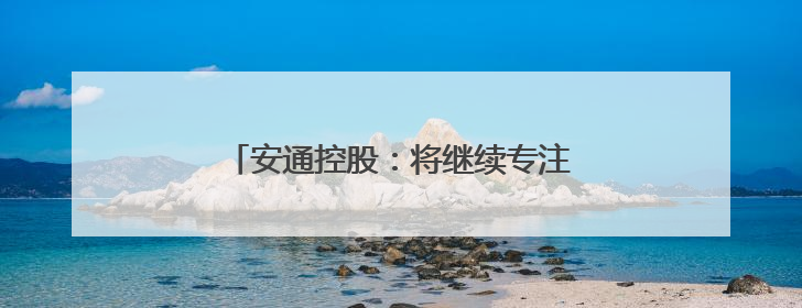安通控股：将继续专注主业 增强业务优势