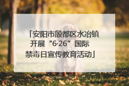 安阳市殷都区水冶镇开展“6·26”国际禁毒日宣传教育活动