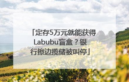 定存5万元就能获得Labubu盲盒？银行擦边揽储被叫停