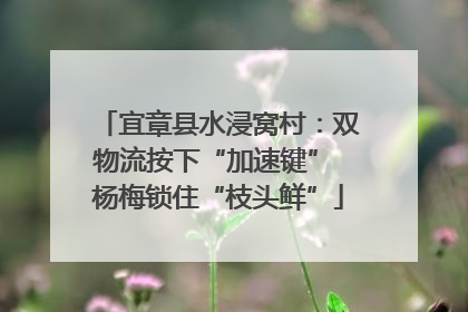 宜章县水浸窝村：双物流按下“加速键” 杨梅锁住“枝头鲜”