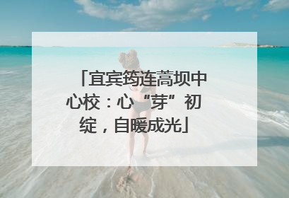 宜宾筠连蒿坝中心校：心“芽”初绽，自暖成光