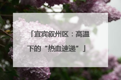 宜宾叙州区：高温下的“热血速递”