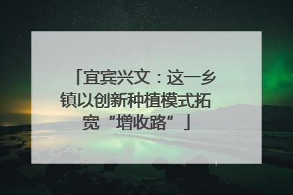 宜宾兴文：这一乡镇以创新种植模式拓宽“增收路”