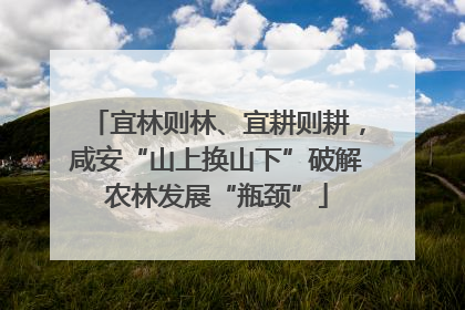 宜林则林、宜耕则耕，咸安“山上换山下”破解农林发展“瓶颈”