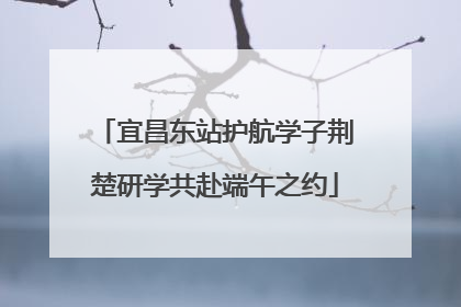 宜昌东站护航学子荆楚研学共赴端午之约