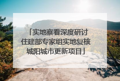 实地察看深度研讨 住建部专家组实地复核城阳城市更新项目