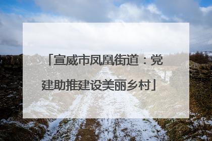 宣威市凤凰街道：党建助推建设美丽乡村