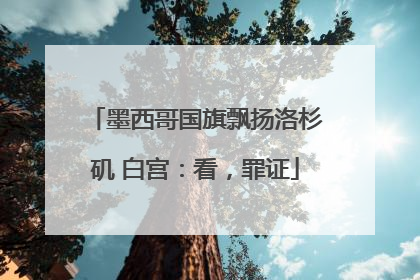 墨西哥国旗飘扬洛杉矶 白宫：看，罪证