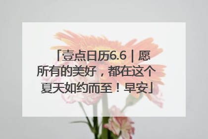 壹点日历6.6｜愿所有的美好，都在这个夏天如约而至！早安