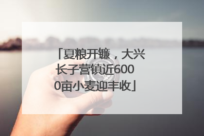 夏粮开镰，大兴长子营镇近6000亩小麦迎丰收