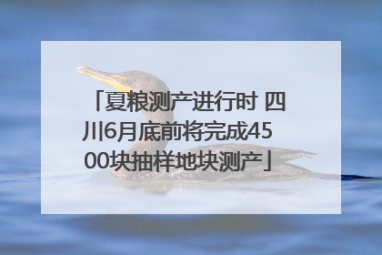 夏粮测产进行时 四川6月底前将完成4500块抽样地块测产