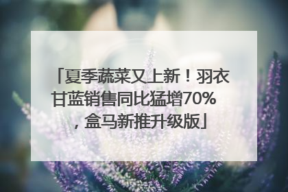 夏季蔬菜又上新！羽衣甘蓝销售同比猛增70%，盒马新推升级版