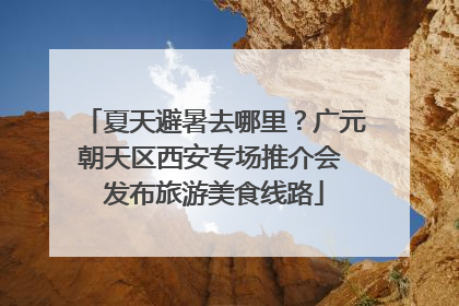 夏天避暑去哪里？广元朝天区西安专场推介会 发布旅游美食线路