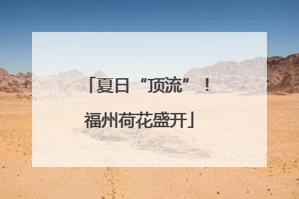 夏日“顶流”！福州荷花盛开