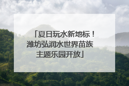 夏日玩水新地标！潍坊弘润水世界苗族主题乐园开放