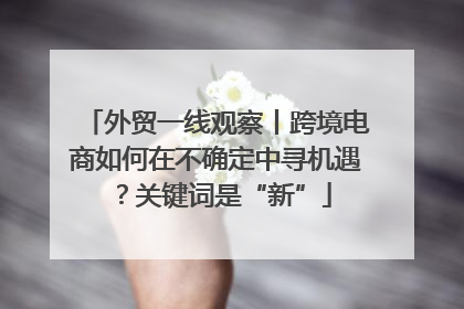 外贸一线观察丨跨境电商如何在不确定中寻机遇？关键词是“新”