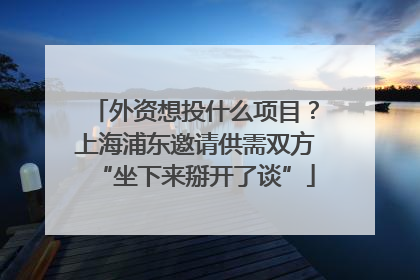 外资想投什么项目？上海浦东邀请供需双方“坐下来掰开了谈”