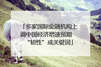 多家国际金融机构上调中国经济增速预期 “韧性”成关键词