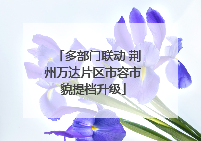 多部门联动 荆州万达片区市容市貌提档升级