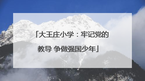 大王庄小学：牢记党的教导 争做强国少年