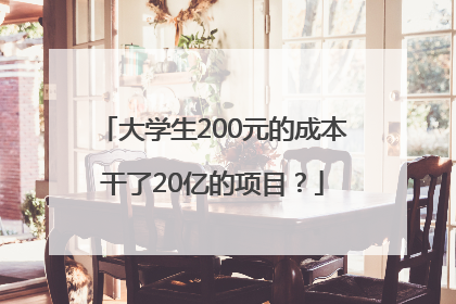 大学生200元的成本干了20亿的项目？