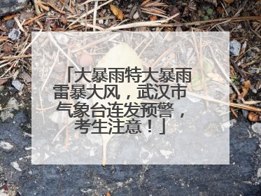 大暴雨特大暴雨雷暴大风，武汉市气象台连发预警，考生注意！