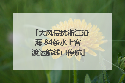 大风侵扰浙江沿海 84条水上客渡运航线已停航