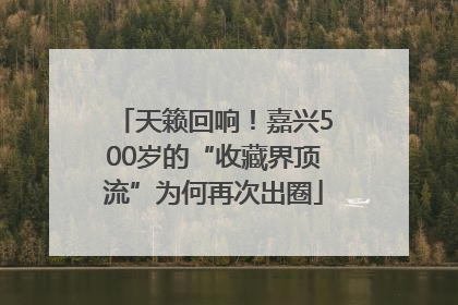 天籁回响！嘉兴500岁的“收藏界顶流”为何再次出圈