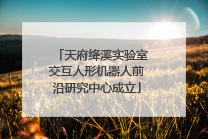 天府绛溪实验室交互人形机器人前沿研究中心成立