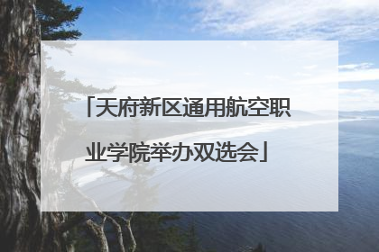 天府新区通用航空职业学院举办双选会