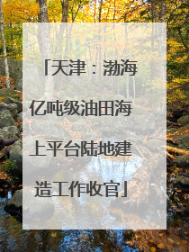 天津：渤海亿吨级油田海上平台陆地建造工作收官