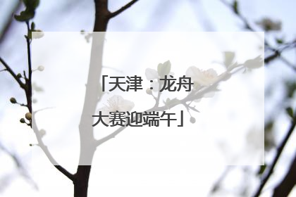 天津：龙舟大赛迎端午
