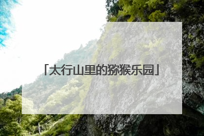 太行山里的猕猴乐园