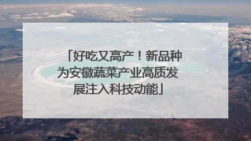 好吃又高产！新品种为安徽蔬菜产业高质发展注入科技动能