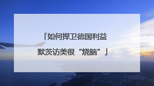 如何捍卫德国利益 默茨访美很“烧脑”