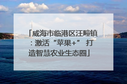 威海市临港区汪疃镇：激活“苹果+” 打造智慧农业生态圈