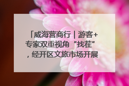 威海营商行｜游客+专家双重视角“找茬”，经开区文旅市场开展暑期前“体检”