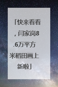 快来看看，闫家岗8.6万平方米稻田画上新啦