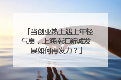 当创业热土遇上年轻气息，上海南汇新城发展如何再发力？