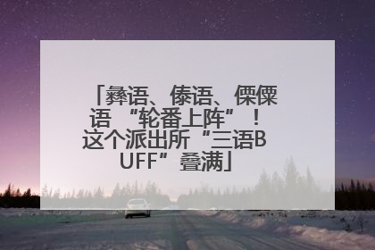 彝语、傣语、傈僳语 “轮番上阵”！这个派出所“三语BUFF”叠满