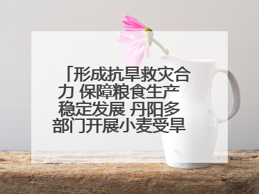 形成抗旱救灾合力 保障粮食生产稳定发展 丹阳多部门开展小麦受旱情况调研